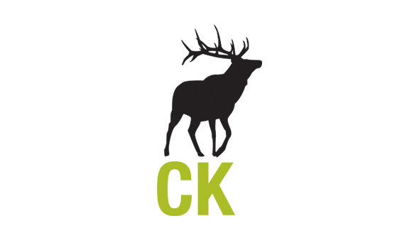CK Salon Logo Design